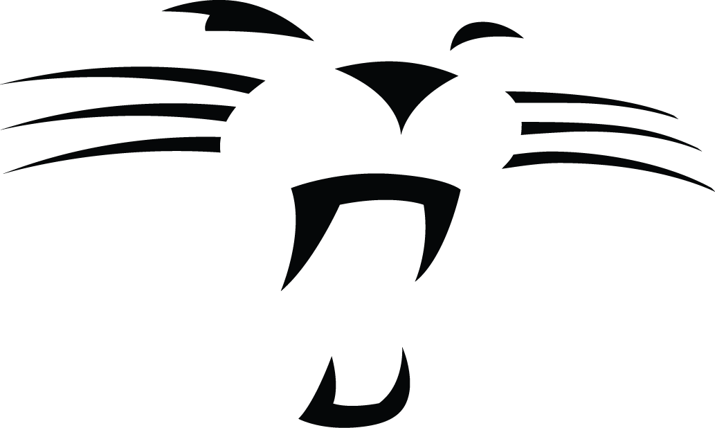 Carolina Panthers 2012-Pres Alternate Logo t shirts iron on transfers v2